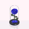 Long life rozen goedkoop - Saffier