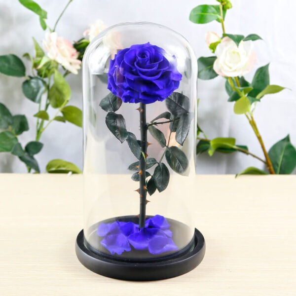 Long life rozen goedkoop - Saffier