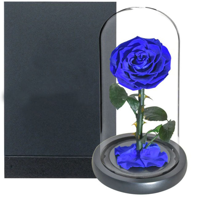 Long life rozen goedkoop - Saffier