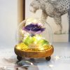 Longlife roos - Violet