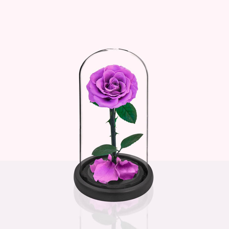 Longlife rozen box - Valentijn