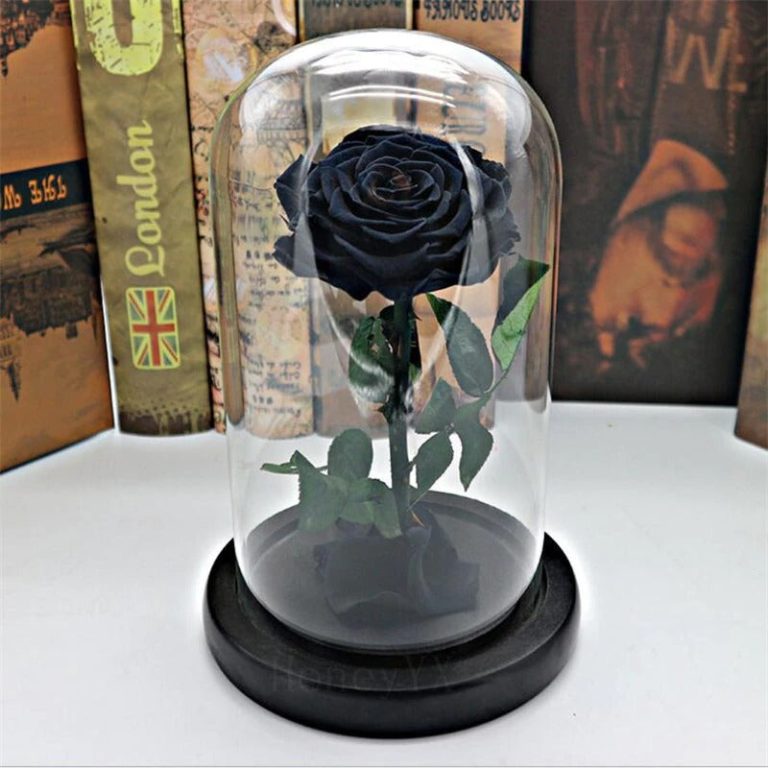 Longlife rozen kopen - Amber