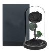 Longlife rozen kopen - Amber