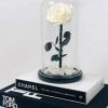 Onsterfelijke roos in glas - Juliet