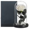 Onsterfelijke roos in glas - Juliet