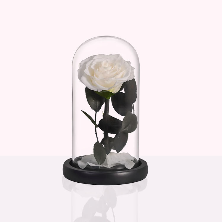 Onsterfelijke roos in glas - Juliet