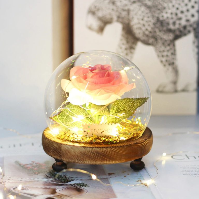 Rode roos eeuwigheid - Roze