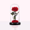 Roos urn - Cupido